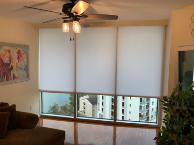 interior shades